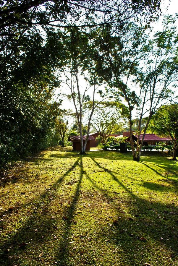 Natural Lodge Cano Negro 外观 照片