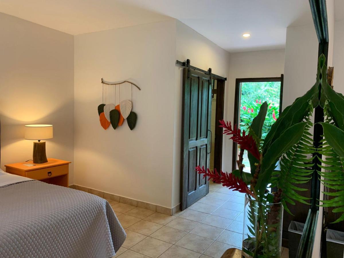Natural Lodge Cano Negro 外观 照片