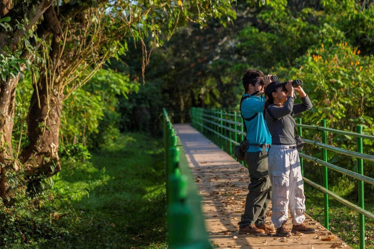 Natural Lodge Cano Negro 外观 照片